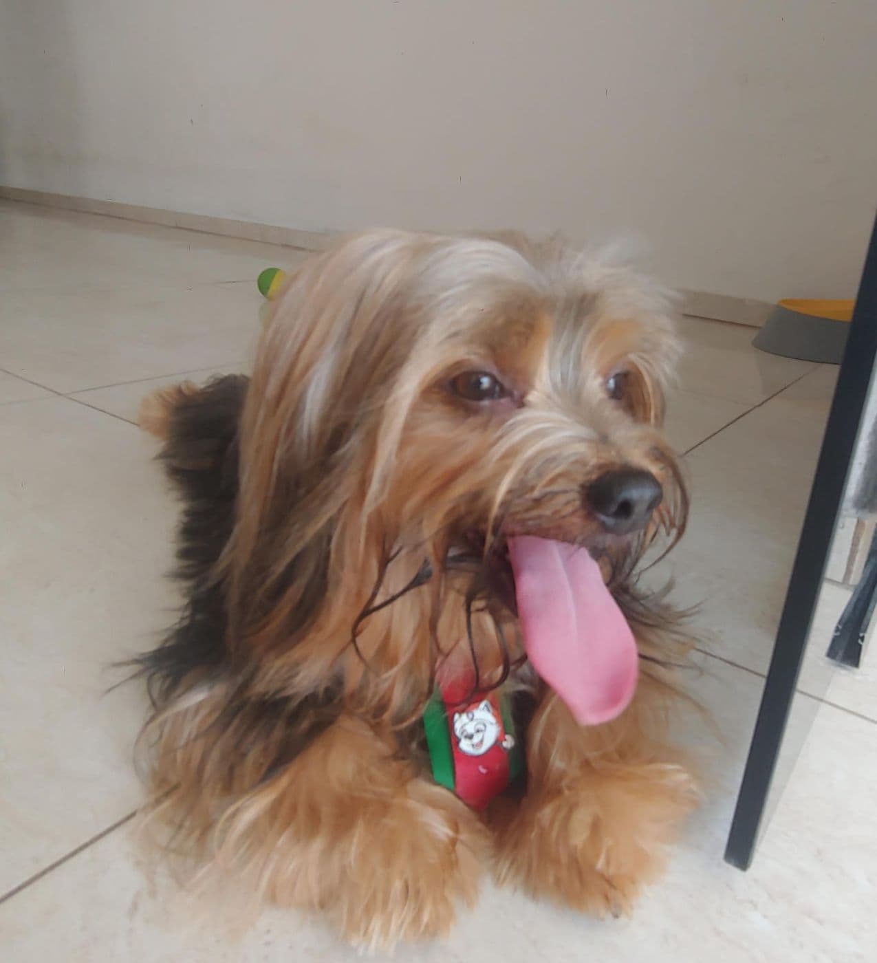 Thor depois