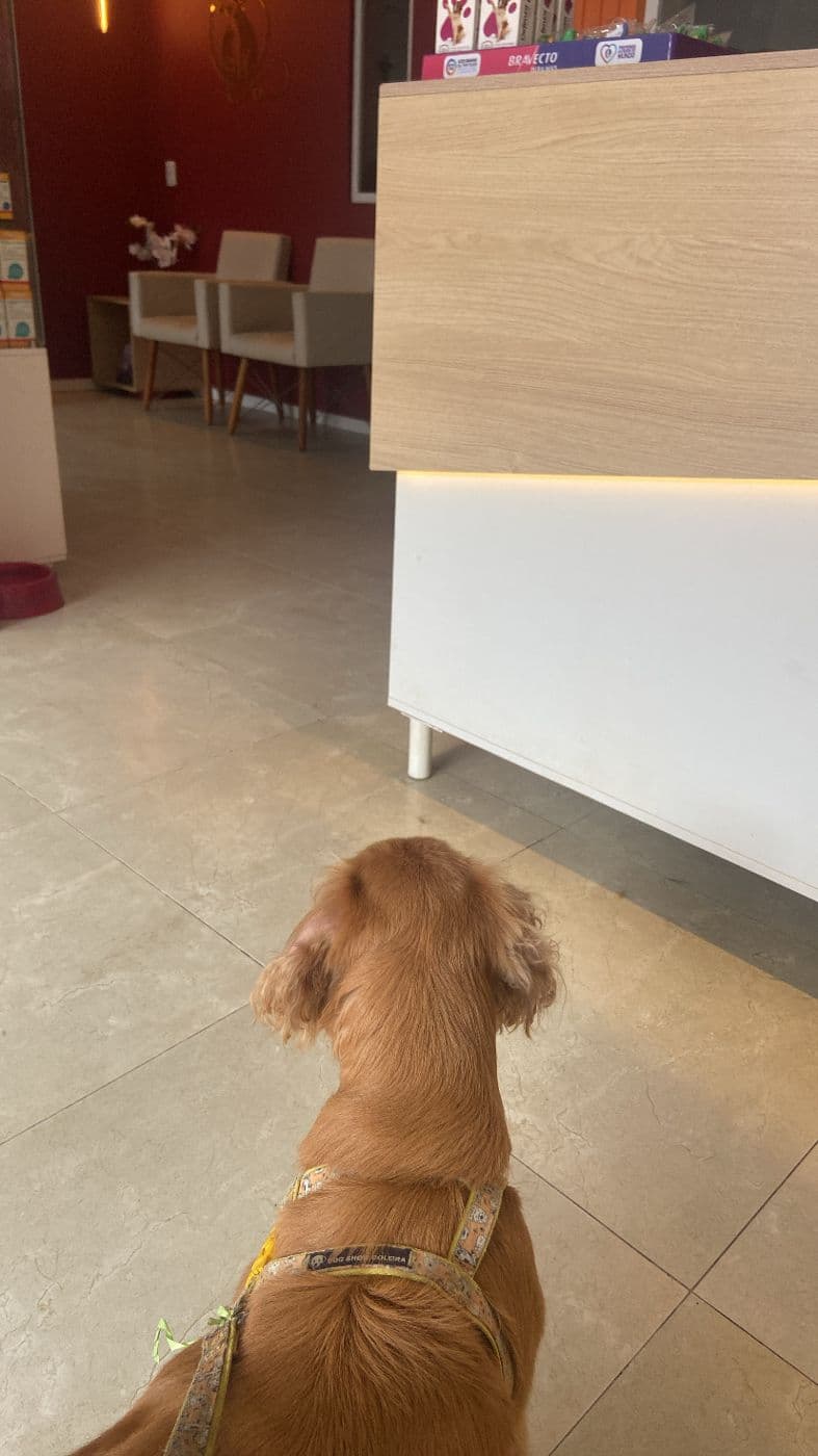 Foto da ClinicAll Vet