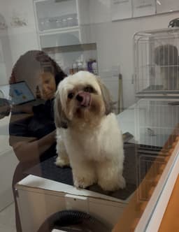 Foto enviada pelo cliente