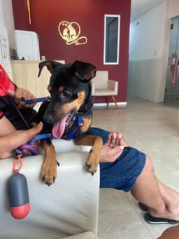 Foto enviada pelo cliente