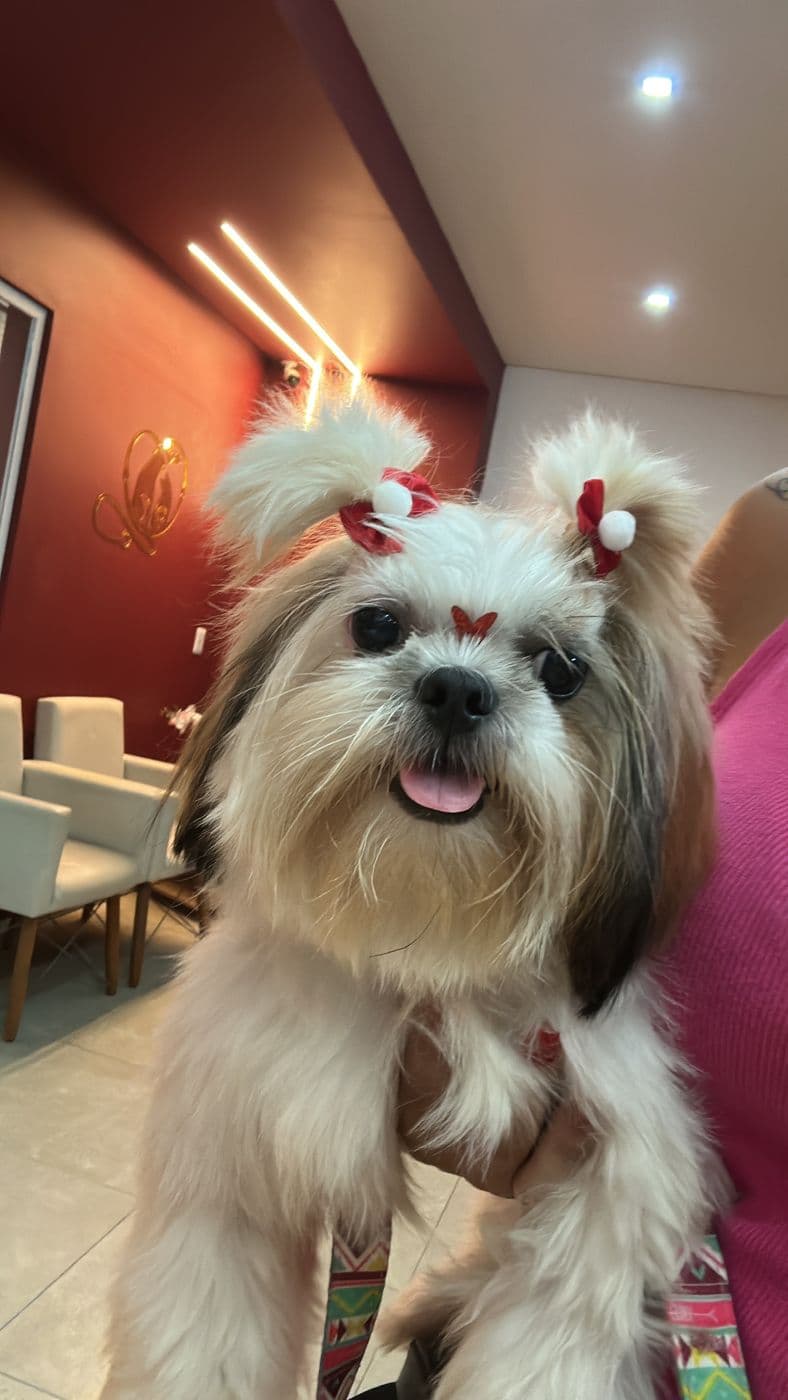 Luna depois